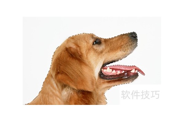 PS移花接木之海报头像更改？