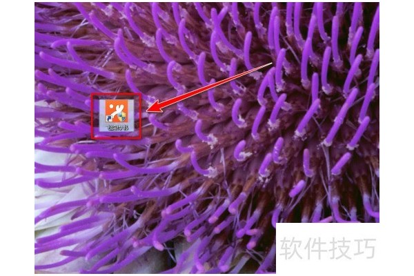 飞鸽传书如何创建群组