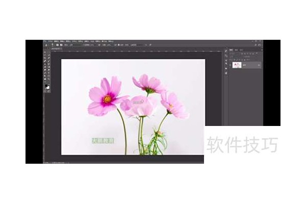 Ps：仿制图章——移花接木的技巧