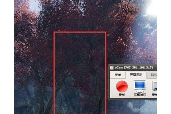 ocam如何录制视频