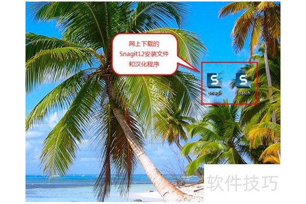 截图软件Snagit的使用