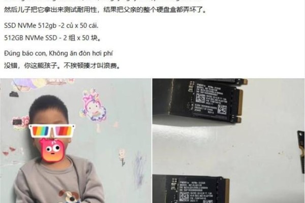 10岁男孩做“耐用性实验”掰坏父亲4000美元SSD硬盘