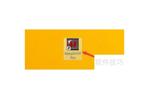 如何设置MorphVOXPro启动显示托盘图像功能