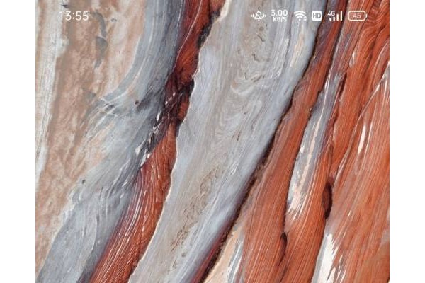 喵喵折怎么登记自己的真实姓名