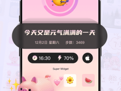 Super Widget