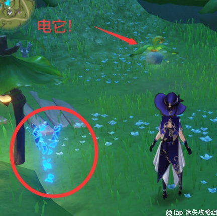 原神《原神》:须弥新添加项目 原神《原神》:须弥新添加项目