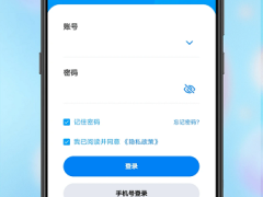 安视界