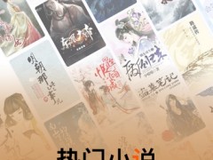 顶点免费小说