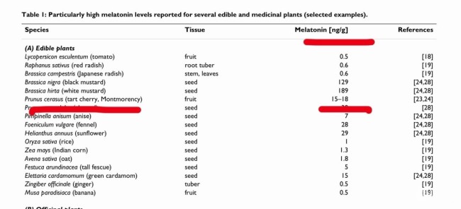 车厘子含褪黑素 吃了可以助眠?专家:没睡着先撑死 车厘子含褪黑素 吃了可以助眠?专家:没睡着先撑死