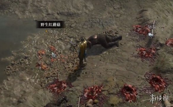 《暗黑破坏神4》遗忘海岸支线完成方法 《暗黑破坏神4》遗忘海岸支线完成方法