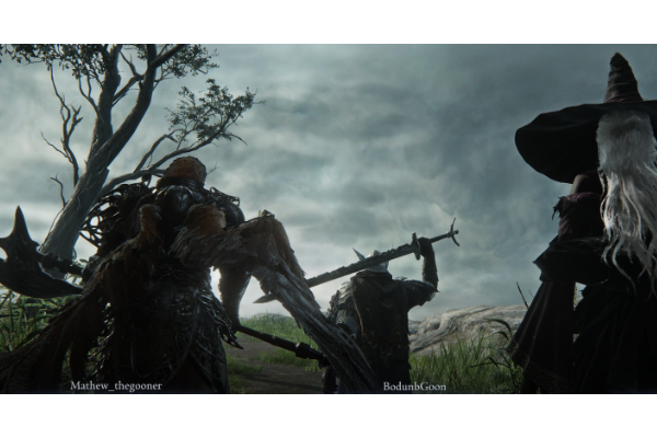 《艾尔登法环：黑夜君临》普通武器分享