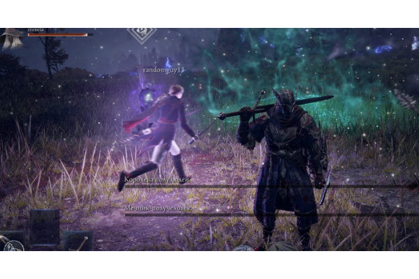 《艾尔登法环：黑夜君临》武器类型分享