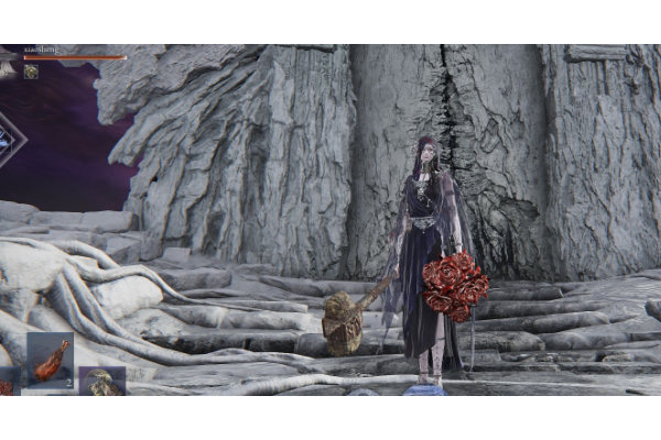 《艾尔登法环：黑夜君临》常见词条解释分享