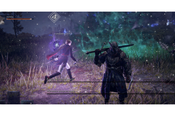 《艾尔登法环：黑夜君临》负面词条介绍