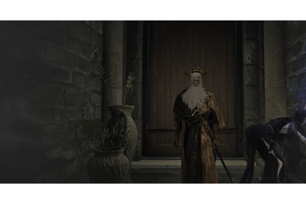 《艾尔登法环：黑夜君临》安定者基础数值介绍