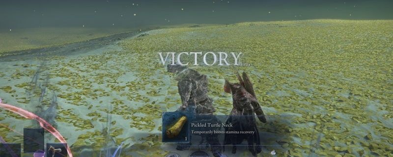 《艾尔登法环:黑夜君临》女爵流派推荐 《艾尔登法环:黑夜君临》女爵流派推荐