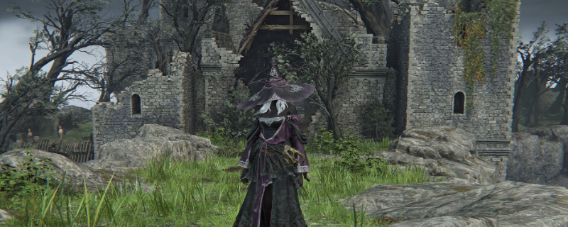 《艾尔登法环:黑夜君临》神鹰哥流派推荐 《艾尔登法环:黑夜君临》神鹰哥流派推荐