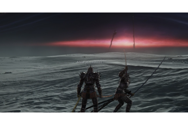 《艾尔登法环：黑夜君临》追踪者流派推荐