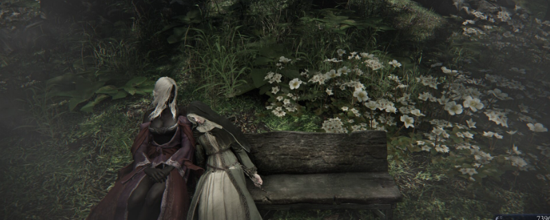 《艾尔登法环:黑夜君临》送葬者小众玩法攻略 《艾尔登法环:黑夜君临》送葬者小众玩法攻略