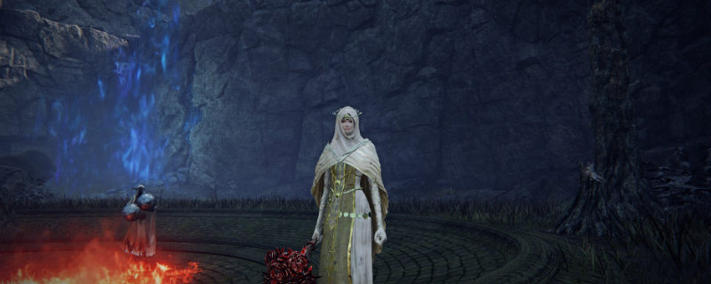 《艾尔登法环:黑夜君临》送葬者玩法攻略 《艾尔登法环:黑夜君临》送葬者玩法攻略