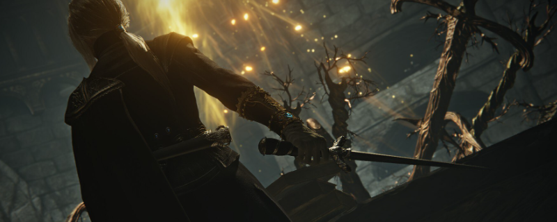 《艾尔登法环:黑夜君临》执行者的小众玩法攻略 《艾尔登法环:黑夜君临》执行者的小众玩法攻略