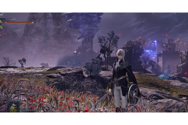 《艾尔登法环：黑夜君临》隐士游玩攻略