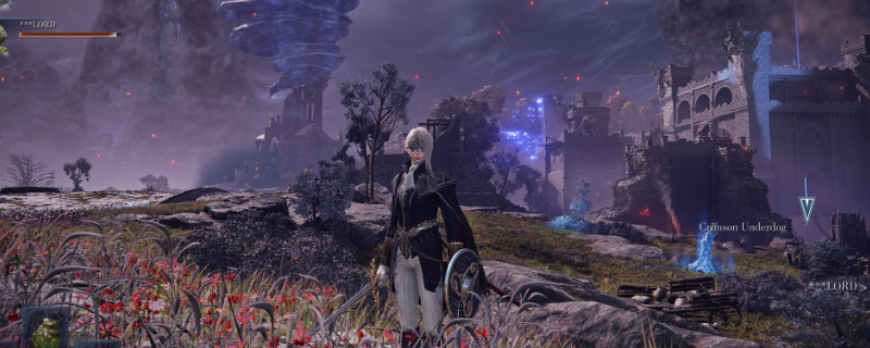 《艾尔登法环:黑夜君临》隐士游玩攻略 《艾尔登法环:黑夜君临》隐士游玩攻略