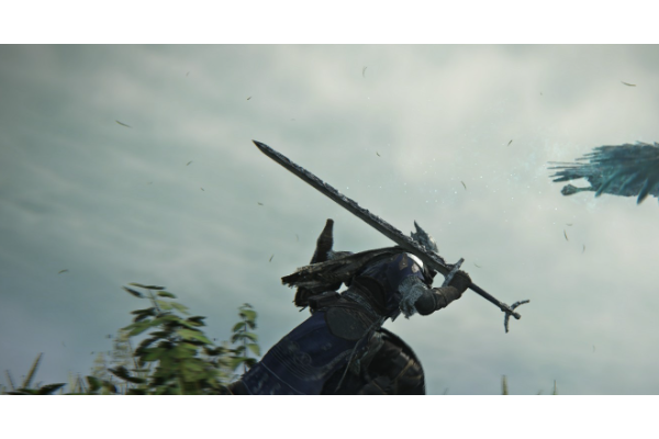 《艾尔登法环：黑夜君临》追踪者游玩攻略