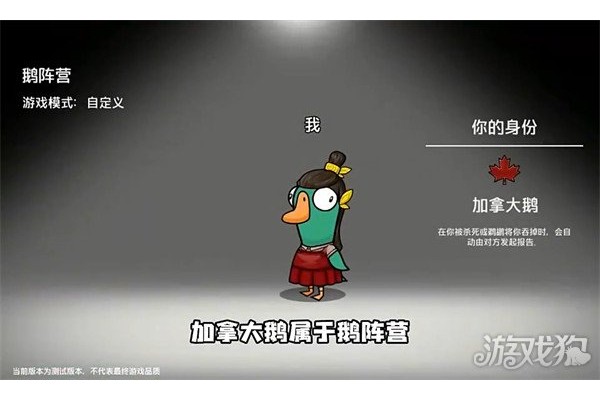 鹅鸭杀加拿大鹅是干嘛的