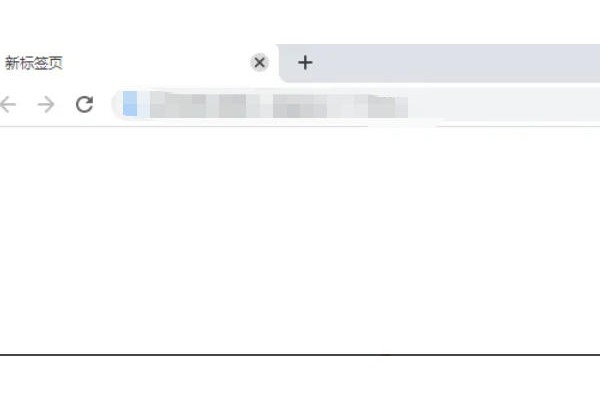 谷歌浏览器怎么添加地址