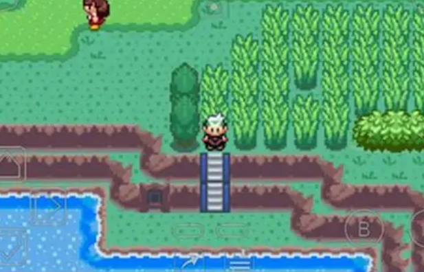 精灵宝可梦同人游戏合集 精灵宝可梦同人游戏合集