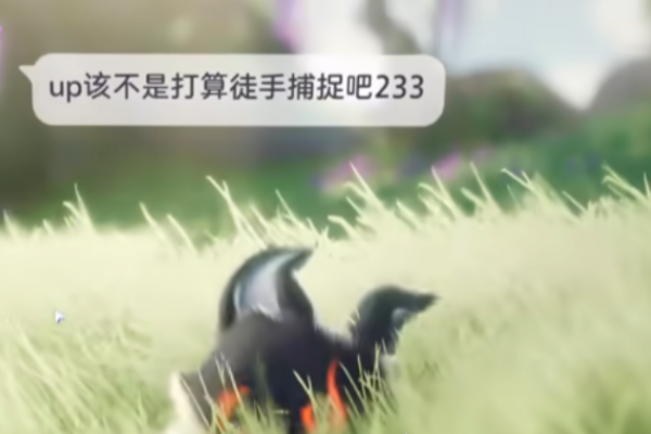 伊莫手游宠物捕捉玩法详解