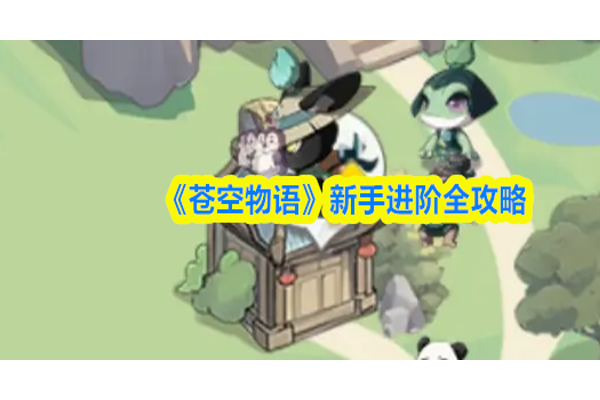 苍空物语新手怎么进阶