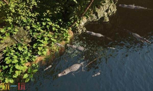 龙岛异兽起源手游什么时候公测 龙岛异兽起源手游什么时候公测