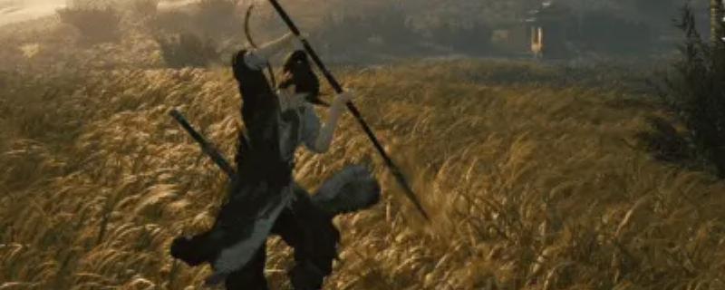 《燕云十六声》金蟾腾跃与狮吼正声介绍 《燕云十六声》金蟾腾跃与狮吼正声介绍