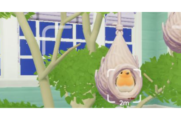 《心动小镇》观鸟玩法技巧分享