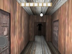 兰德里纳河的森林