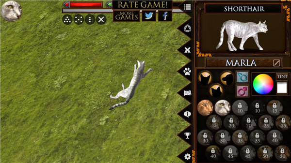 终极猫模拟器破解版 终极猫模拟器破解版