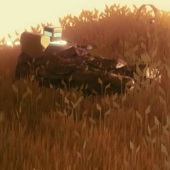 鳏夫的天空官方