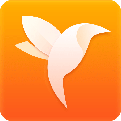 净网大师浏览器手机版