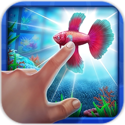 点点鱼缸手游