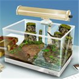 新大叔培养箱手机版