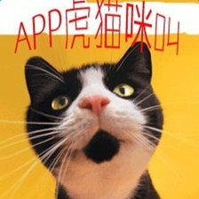 app虎猫咪叫游戏手机版