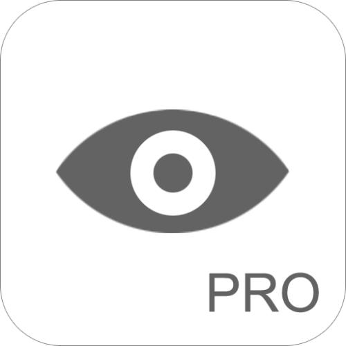 护目镜增强版中文版