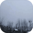 江湖豪客最新版