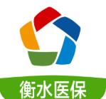 衡水医保公共服务平台