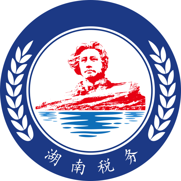 湖南智慧税务app安卓版