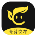 麦芽交友app手机版