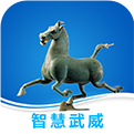 智慧武威城市大脑app安卓版