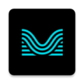 Moises音频网站app最新版